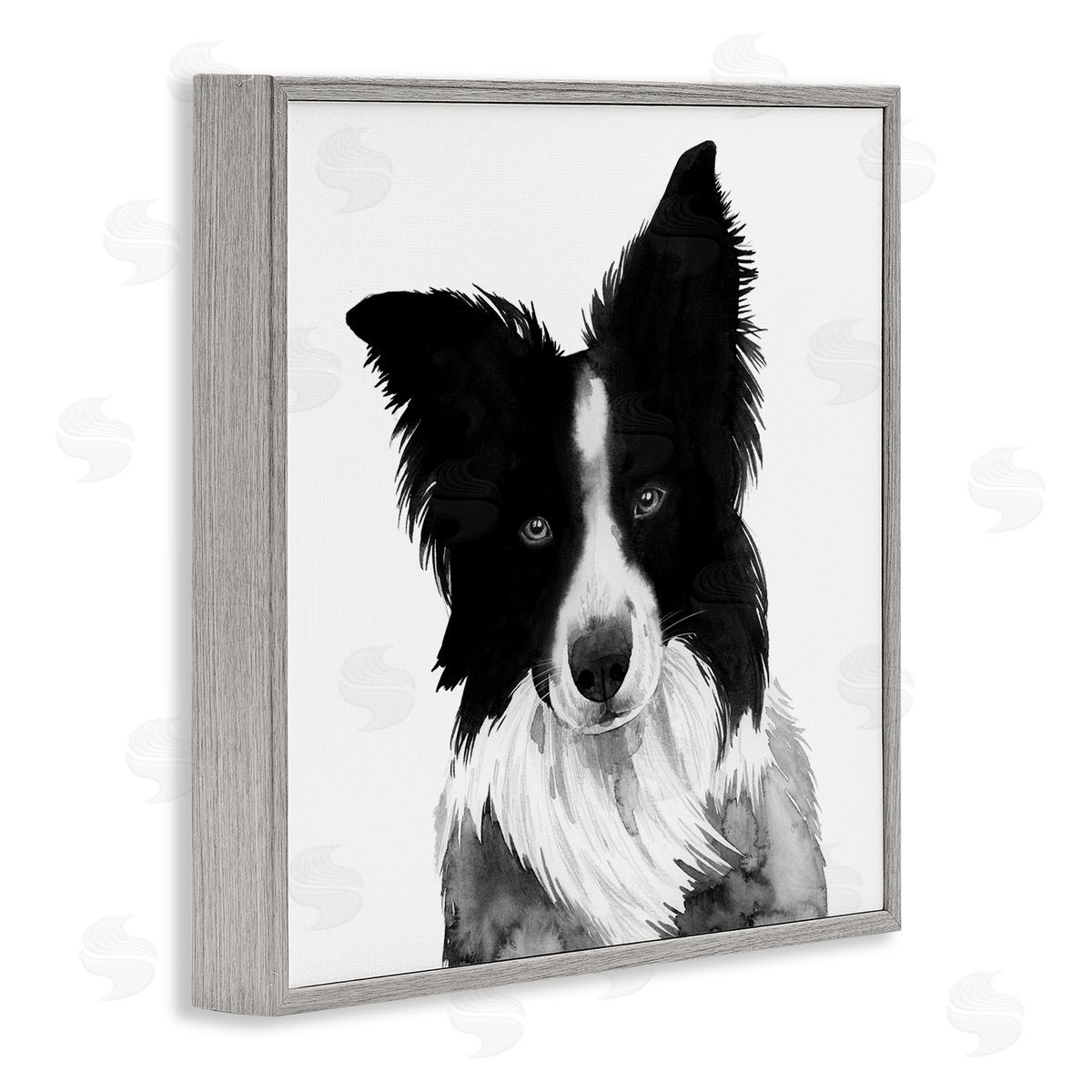 Grace Popp Border Collie Pet Dog Portrait Black White Gray Framed Giclee Wall Art