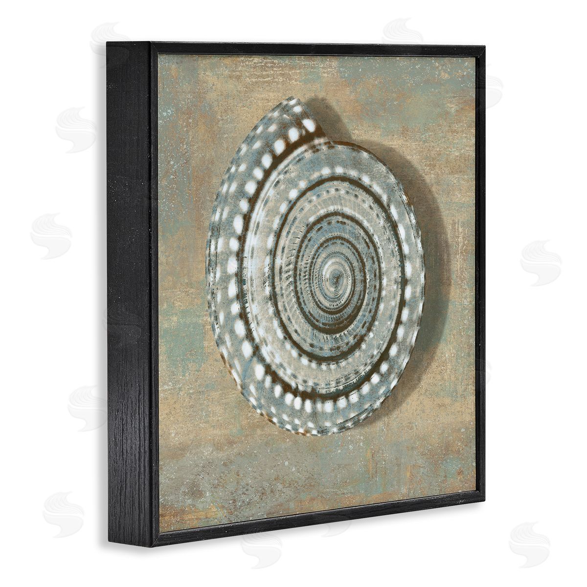 Caroline Kelly Nautical Spiral Shell Vintage Coastal Muted Neutral Black Framed Giclee Wall Art
