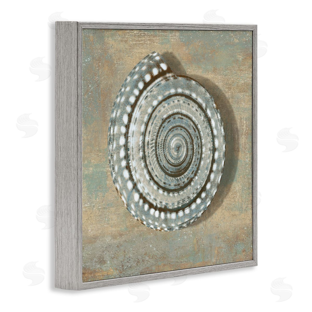 Caroline Kelly Nautical Spiral Shell Vintage Coastal Muted Neutral Gray Framed Giclee Wall Art