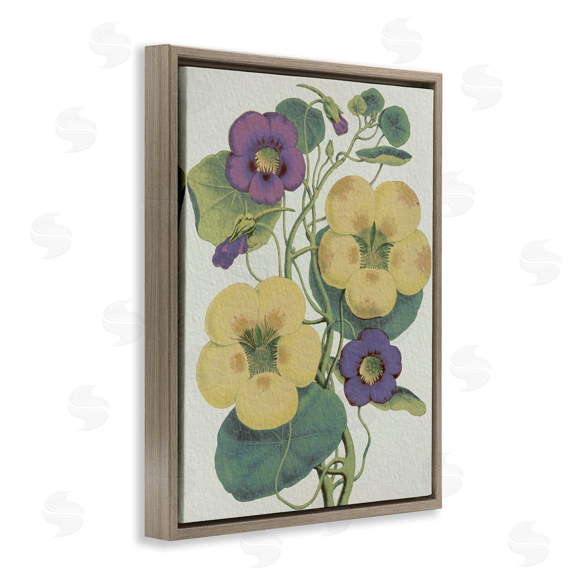 Stupell Studio Vintage Pansies Purple Yellow Petals Garden Study Brown Floater Frame Canvas Art