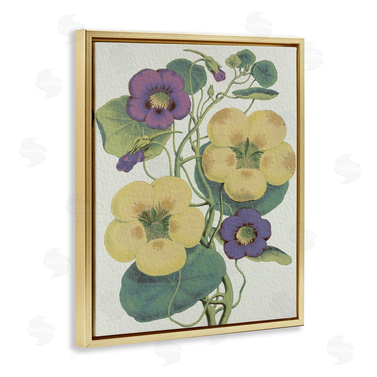 Stupell Studio Vintage Pansies Purple Yellow Petals Garden Study Gold Floater Frame Canvas Art