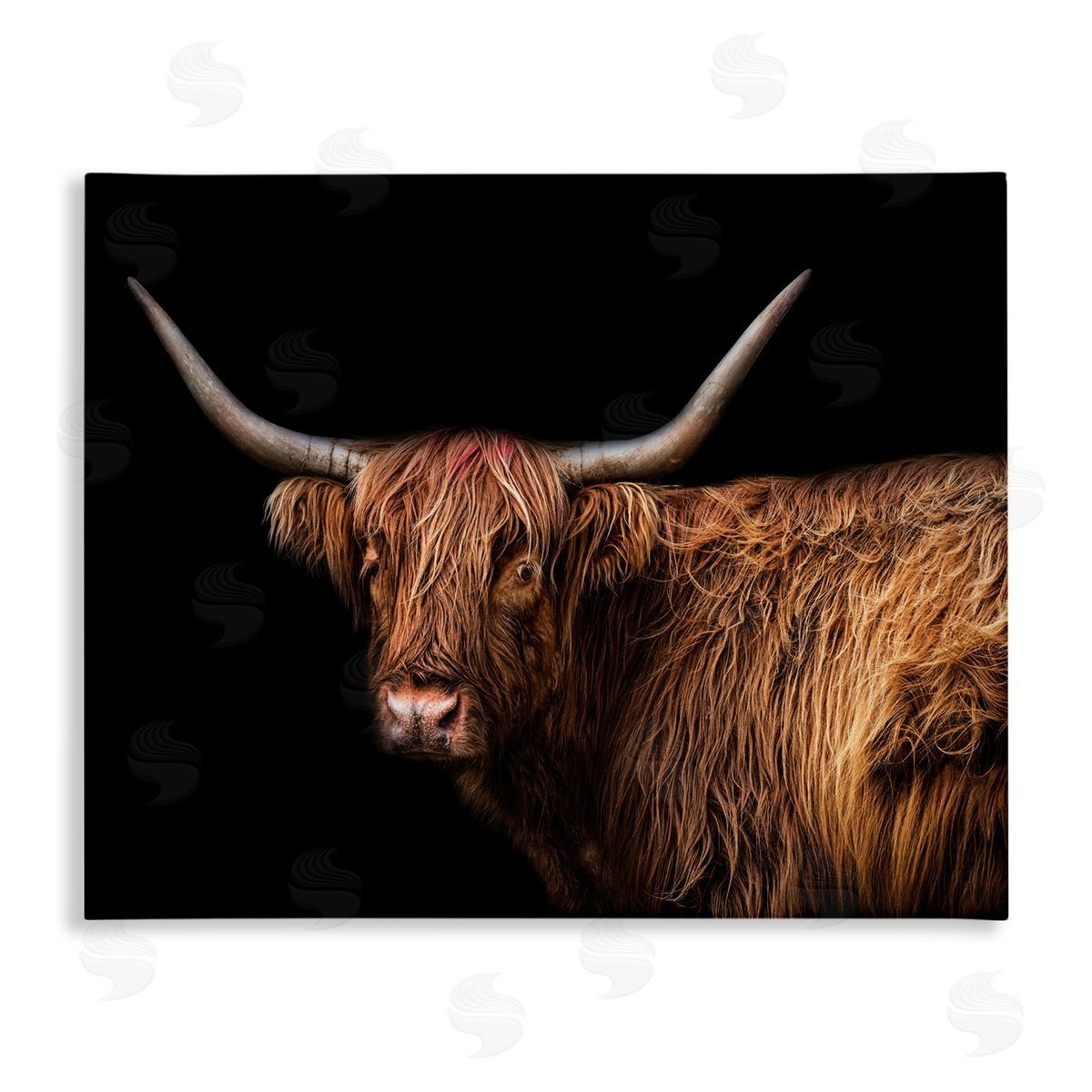 Marika Moffit Shaggy Farm Cattle Brown Country Animal Canvas Wall Art