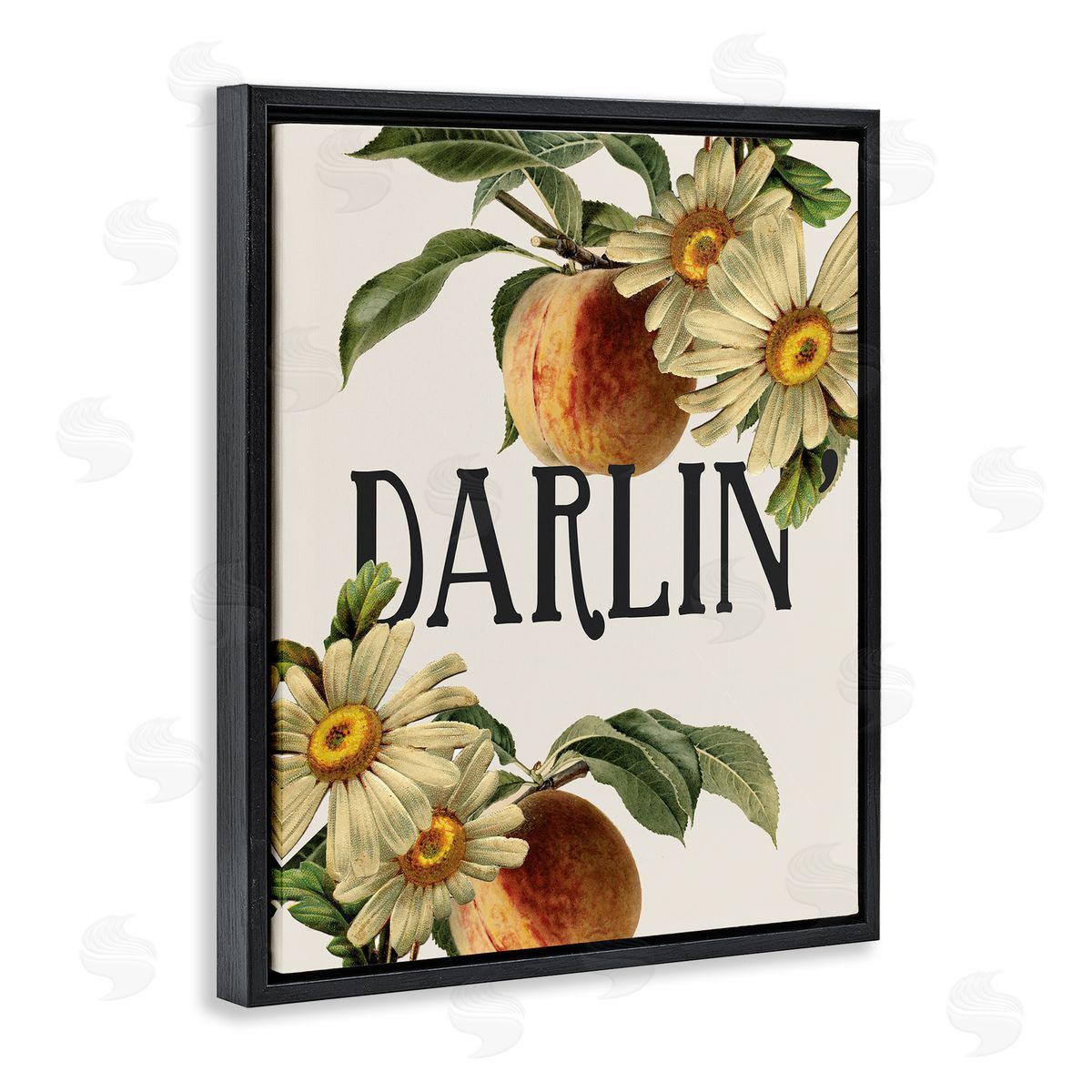 Stupell Studio Darlin' Southern Phrase Vintage Peach Tree Black Floater Frame Canvas Art