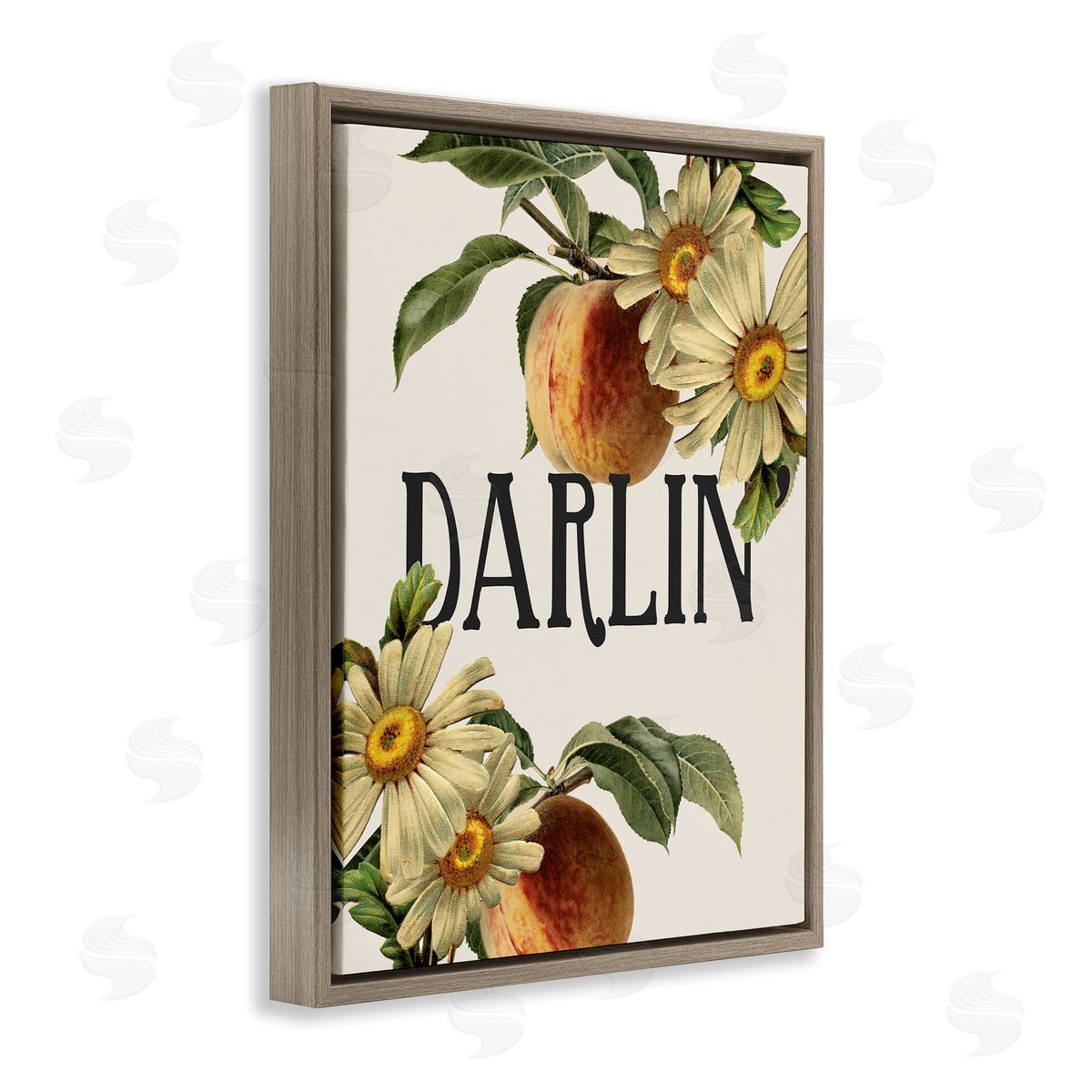 Stupell Studio Darlin' Southern Phrase Vintage Peach Tree Brown Floater Frame Canvas Art