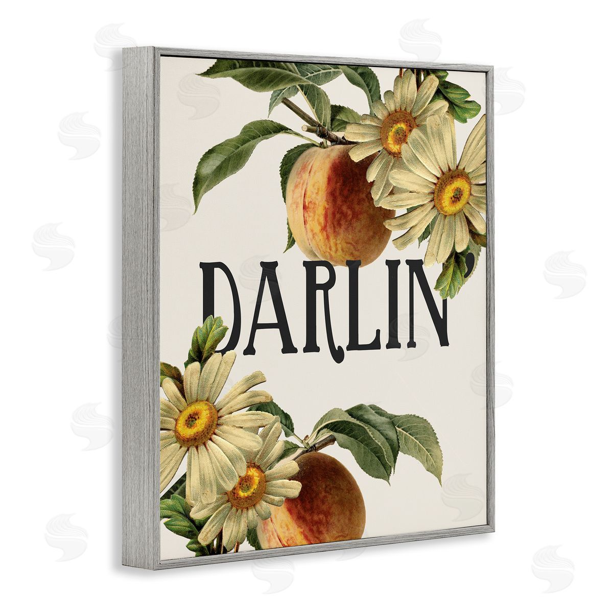 Stupell Studio Darlin' Southern Phrase Vintage Peach Tree Gray Framed Giclee Wall Art