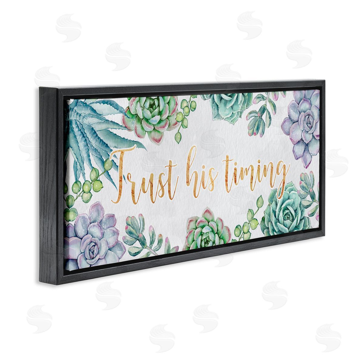 Ziwei Li Trust His Timing Sentiments Green Succulent Plants Black Floater Frame Canvas Art