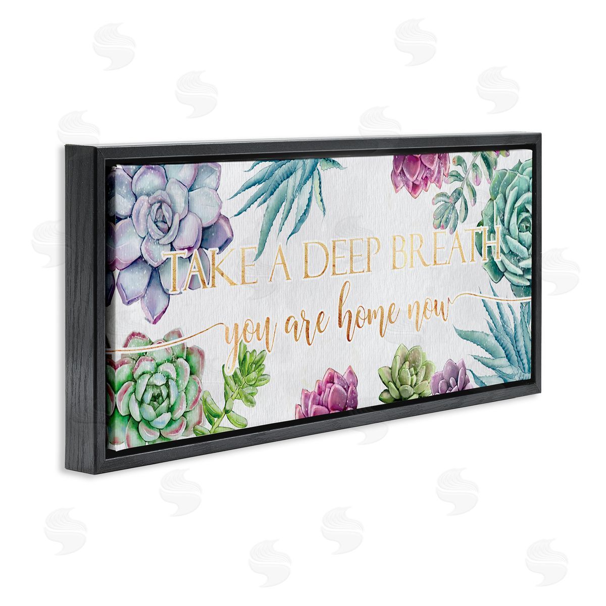 Ziwei Li Take A Deep Breath Phrase Succulent Plants Black Floater Frame Canvas Art