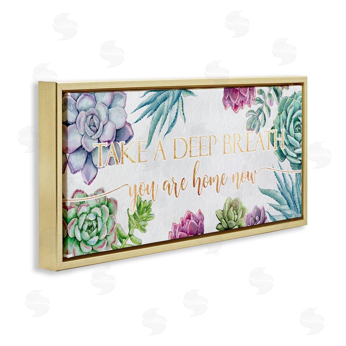 Ziwei Li Take A Deep Breath Phrase Succulent Plants Gold Floater Frame Canvas Art