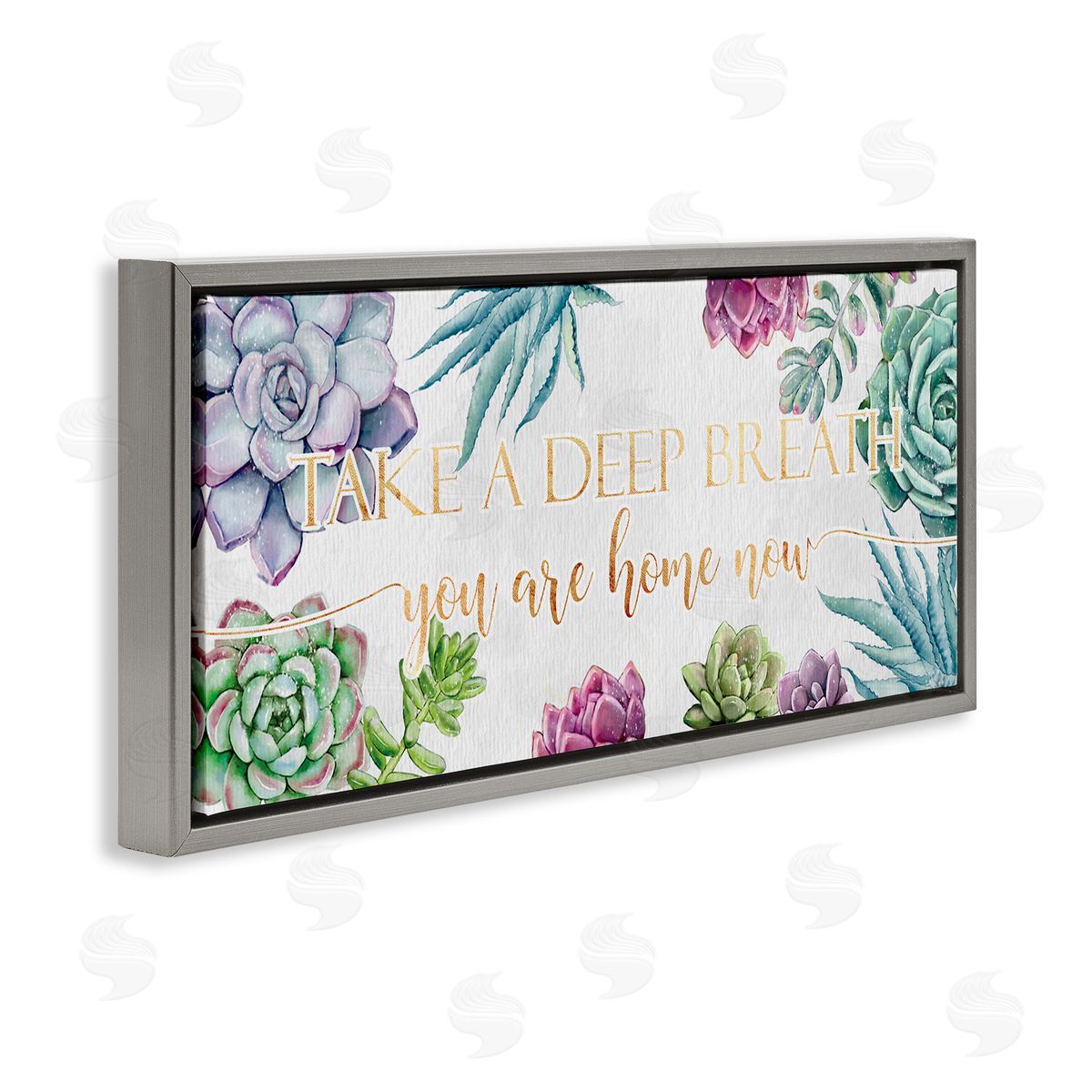 Ziwei Li Take A Deep Breath Phrase Succulent Plants Gray Floater Frame Canvas Art
