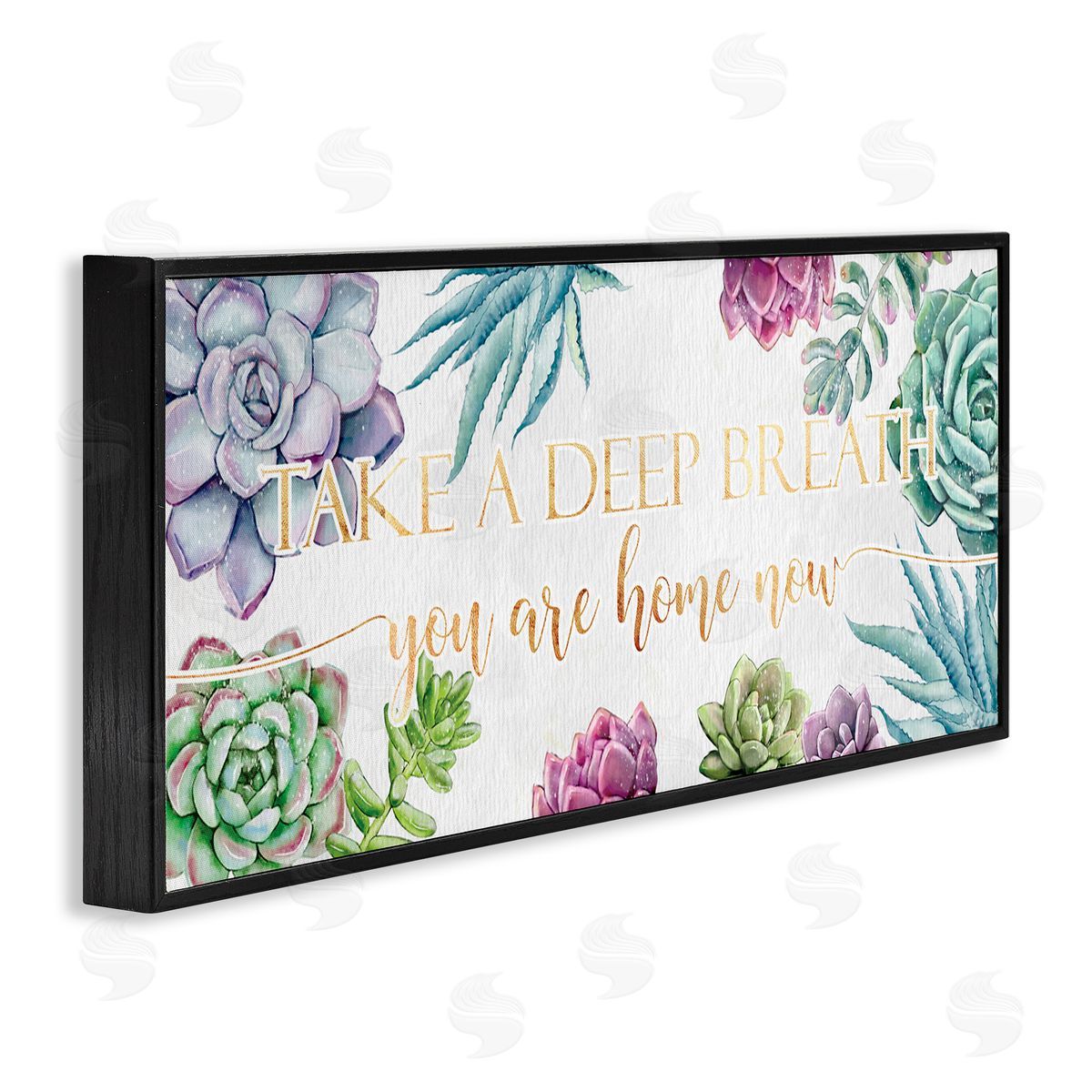 Ziwei Li Take A Deep Breath Phrase Succulent Plants Black Framed Giclee Wall Art