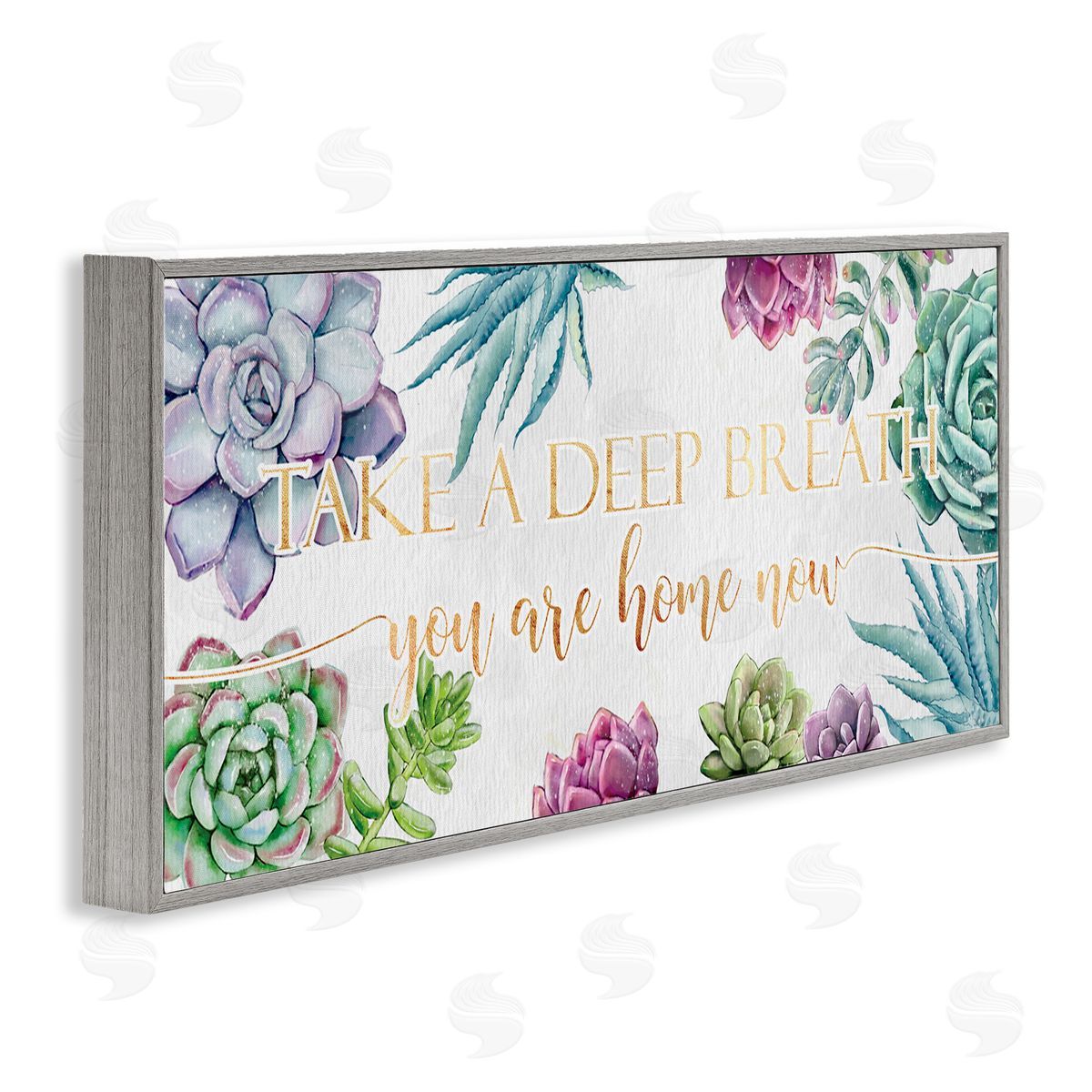 Ziwei Li Take A Deep Breath Phrase Succulent Plants Gray Framed Giclee Wall Art