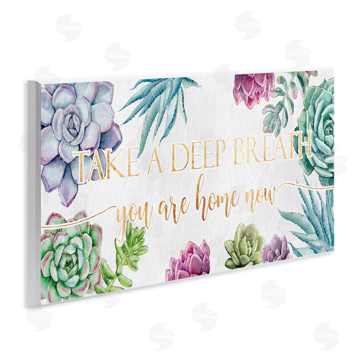 Ziwei Li Take A Deep Breath Phrase Succulent Plants Wall Plaque Art