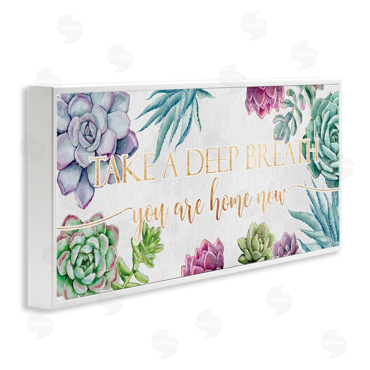 Ziwei Li Take A Deep Breath Phrase Succulent Plants White Framed Giclee Wall Art