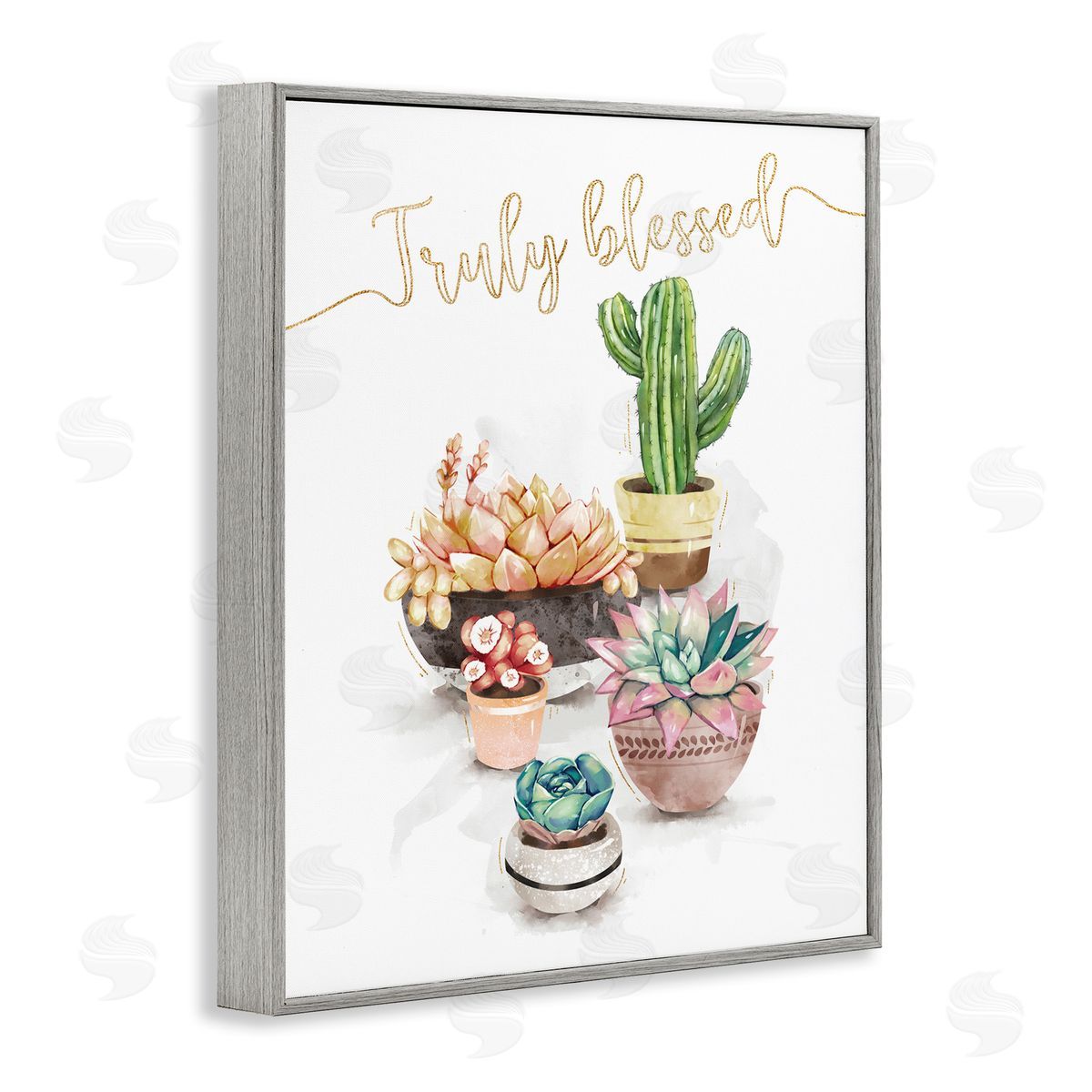 Ziwei Li Truly Blessed Expression Chic Succulent Cactus Plants Gray Framed Giclee Wall Art