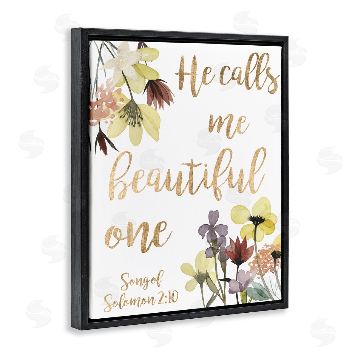 Studio W Beautiful One Proverbs Song of Solomon 2:10 Black Floater Frame Canvas Art