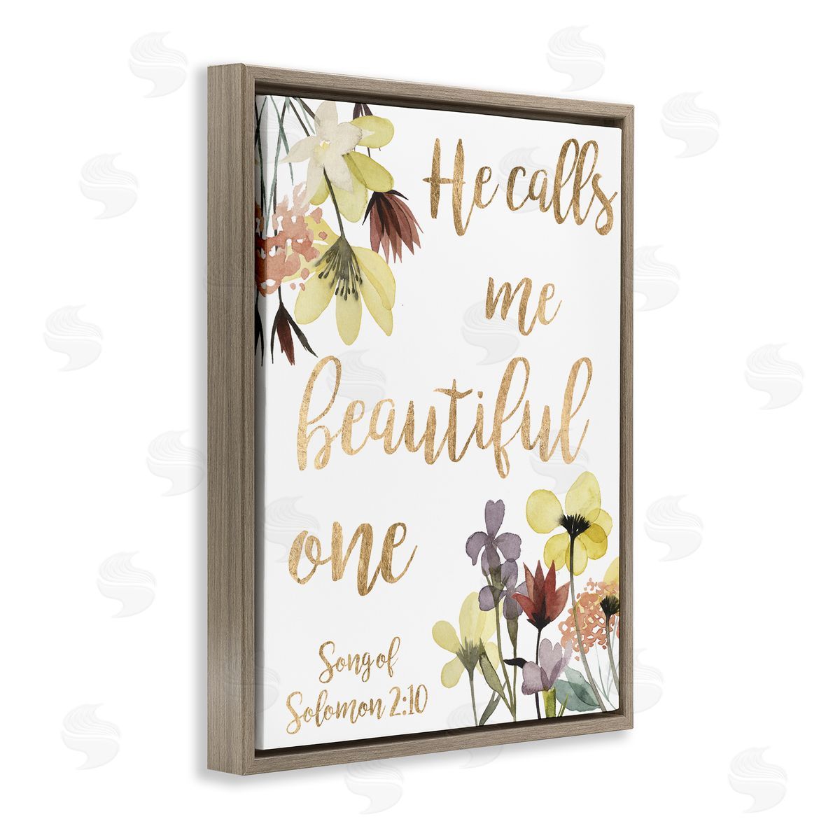 Studio W Beautiful One Proverbs Song of Solomon 2:10 Brown Floater Frame Canvas Art