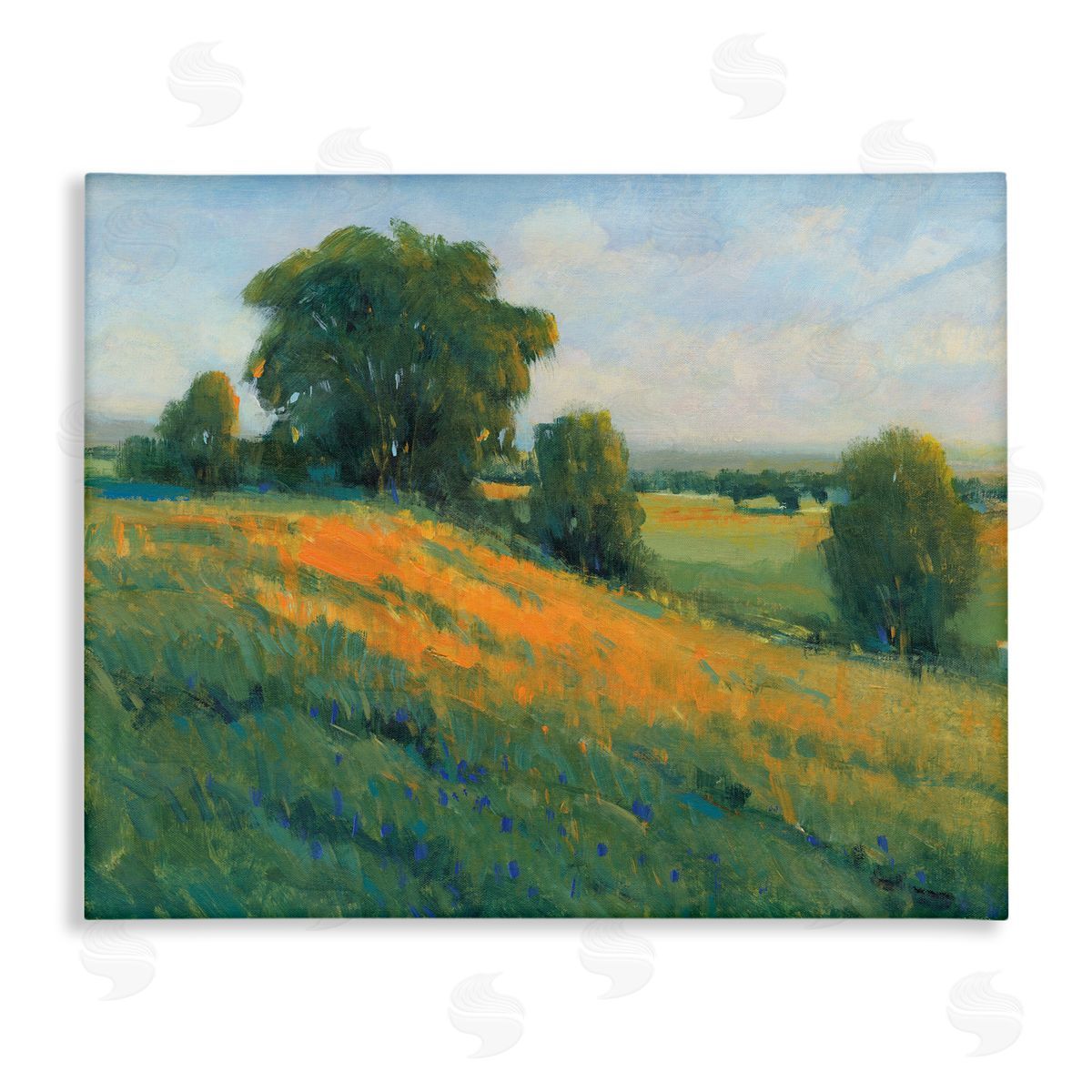 Tim O'Toole Green Rolling Hills Blue Poppy Fields Landscapes Canvas Wall Art