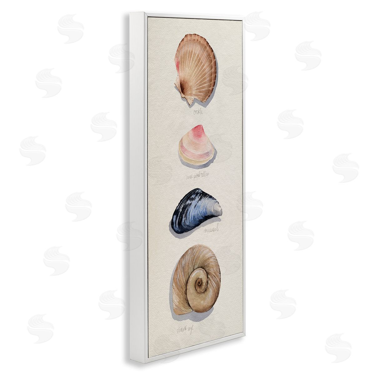 Traditional Nautical Sea Shells White Frame Print Wall Art, Home Decor by Grace Popp