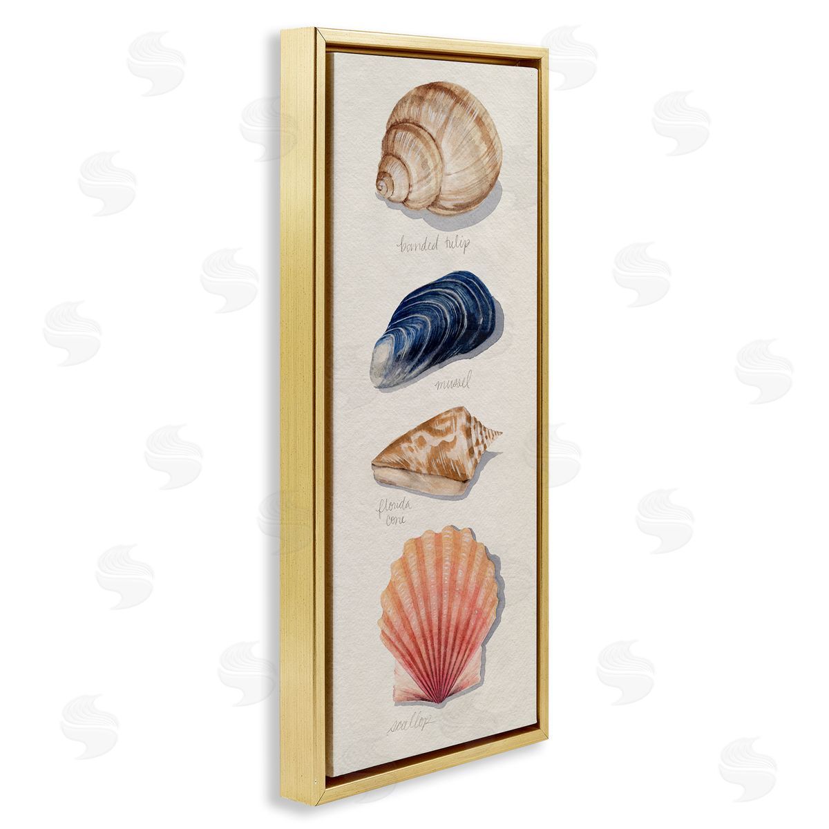 Grace Popp Ocean Life Sea Shells Soft Beige Sand Gold Floater Frame Canvas Art