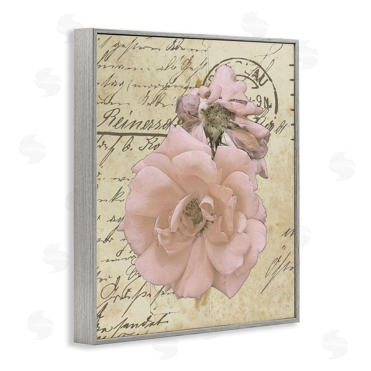 Alonzo Saunders Soft Pink Florals on Vintage Postal Letter Gray Framed Giclee Wall Art