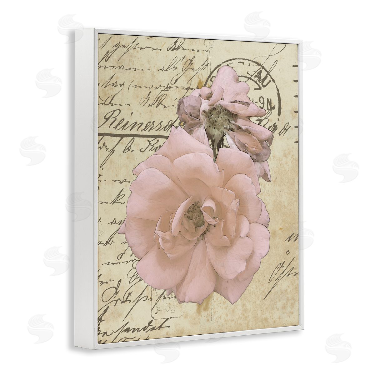Alonzo Saunders Soft Pink Florals on Vintage Postal Letter White Framed Giclee Wall Art