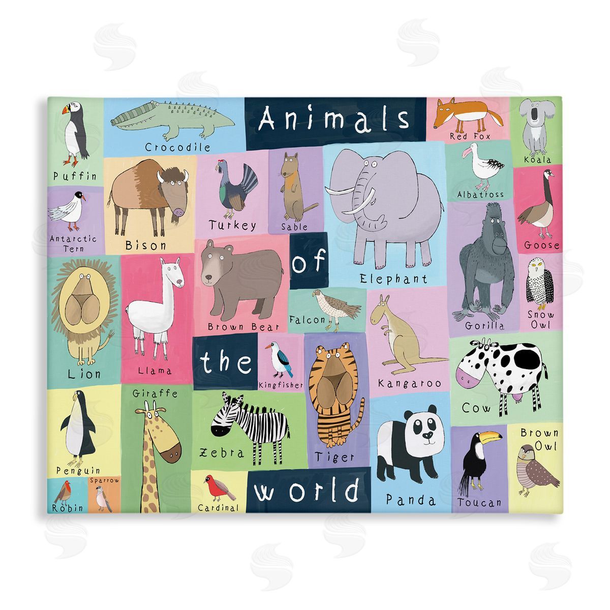 Carla Daly Animals of the World Guide to Whimsical Animals