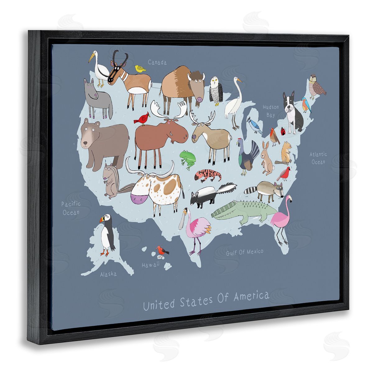 Carla Daly United States Map with Playful Animal Illustrations
