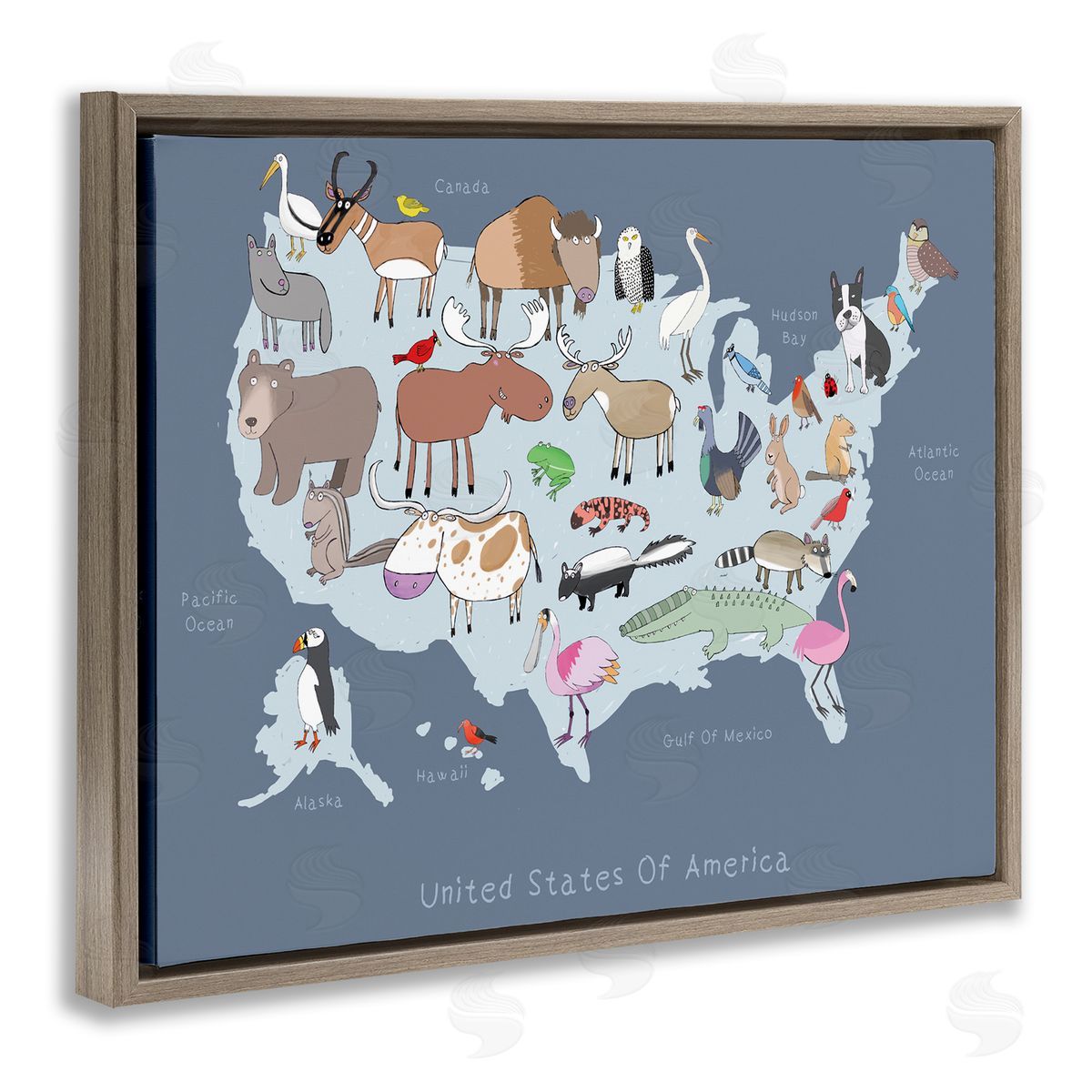 Carla Daly United States Map with Playful Animal Illustrations