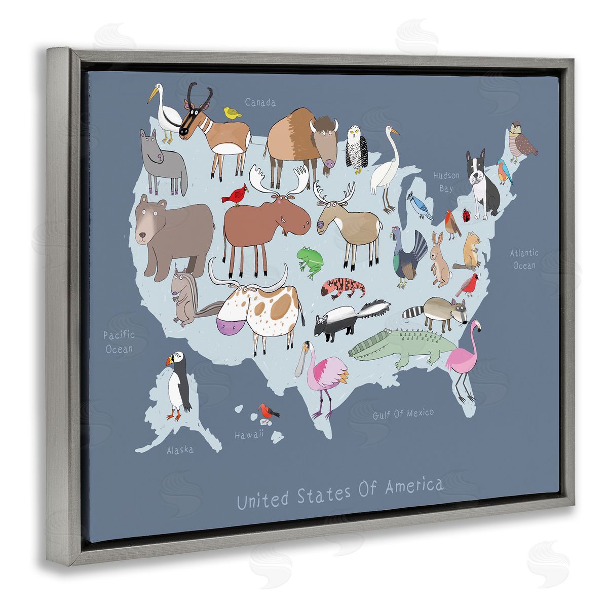 Carla Daly United States Map with Playful Animal Illustrations