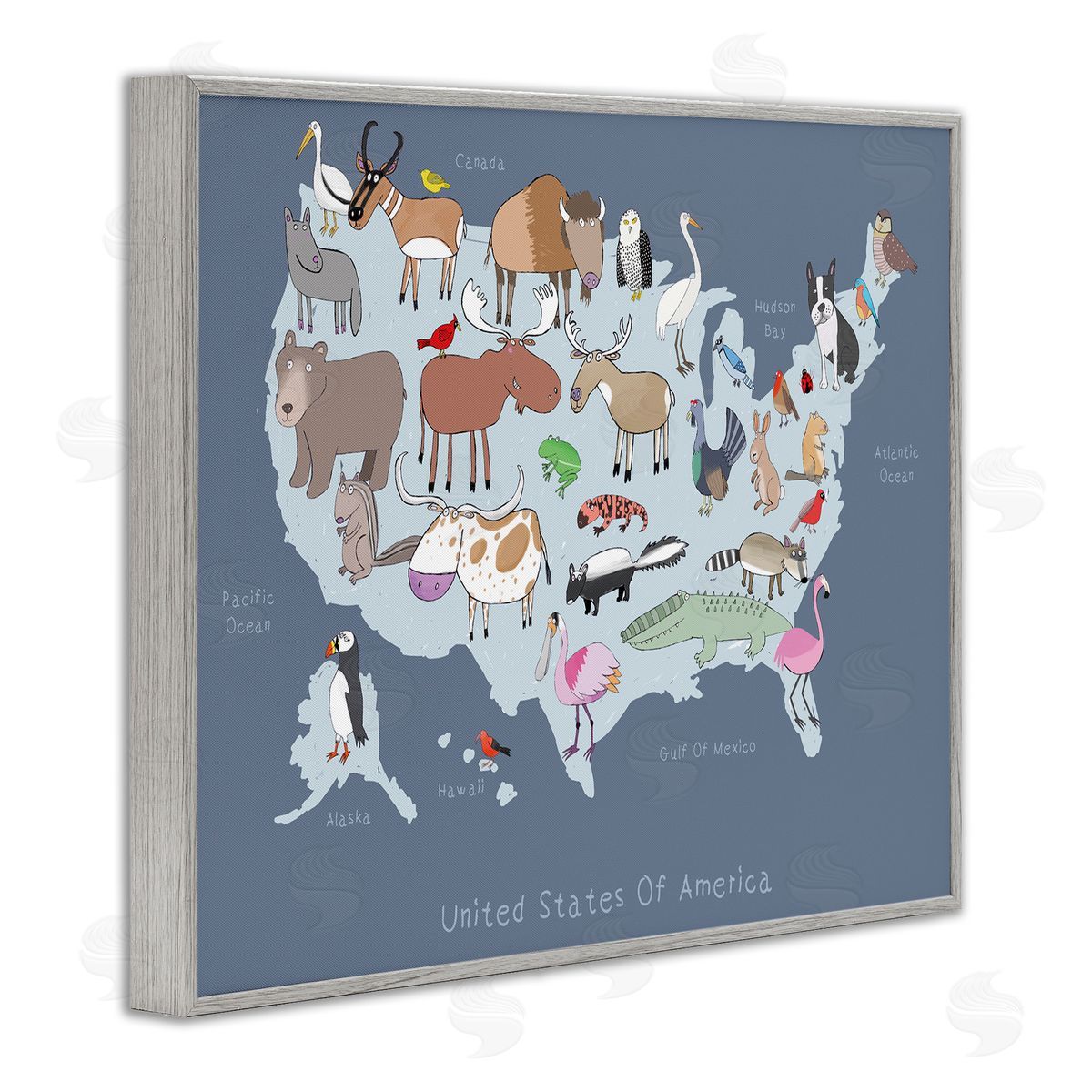 Carla Daly United States Map with Playful Animal Illustrations