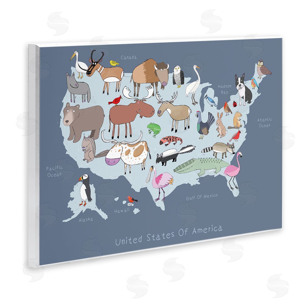 Carla Daly United States Map with Playful Animal Illustrations