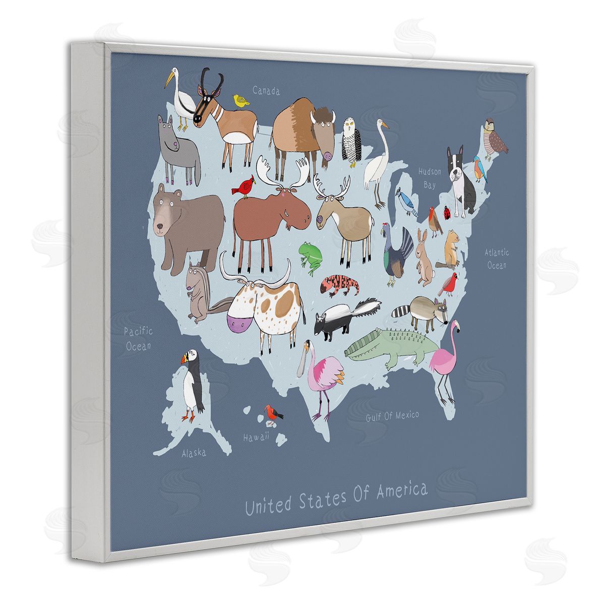 Carla Daly United States Map with Playful Animal Illustrations