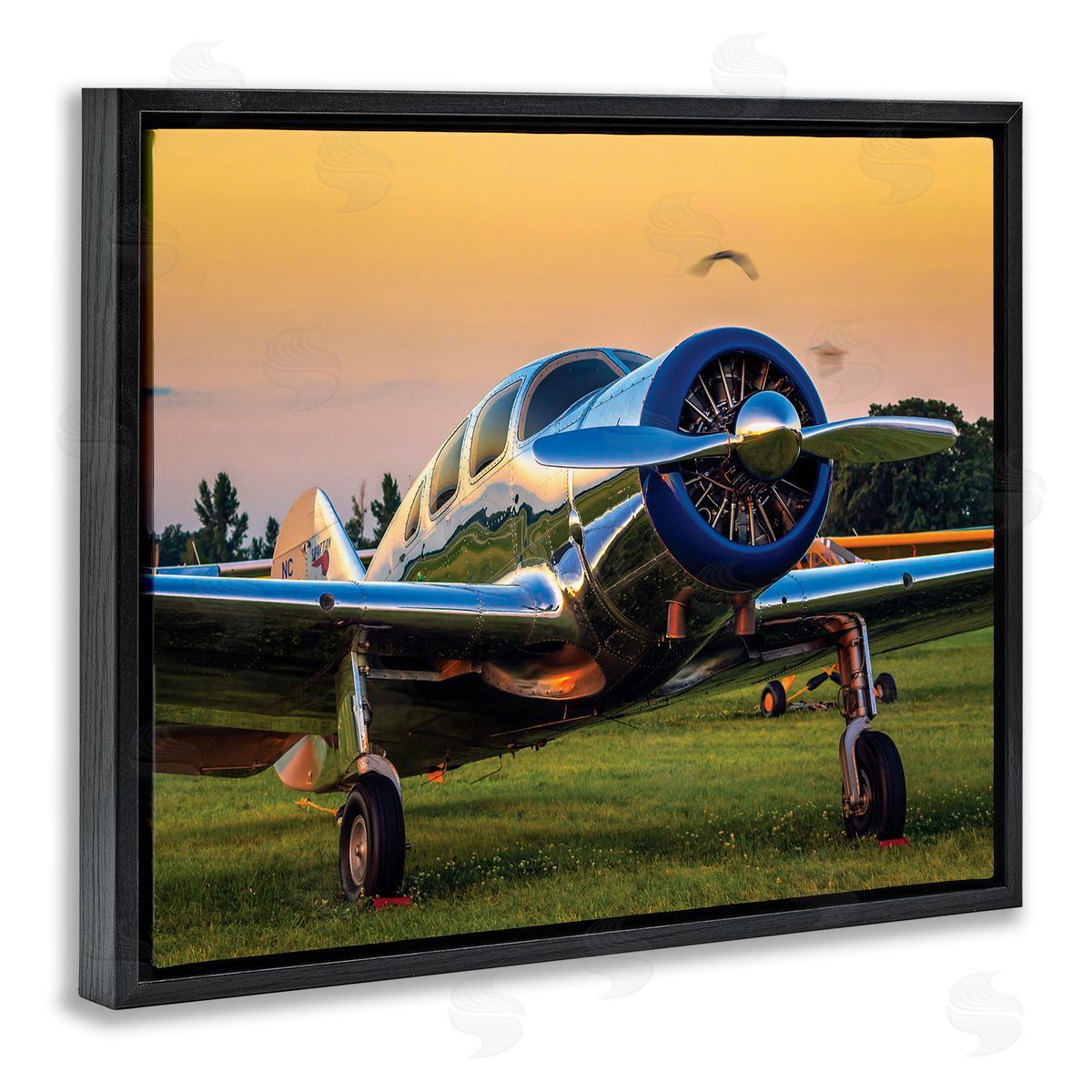 John Slemp Jet Plane in Meadow Summer Sunset Reflection
