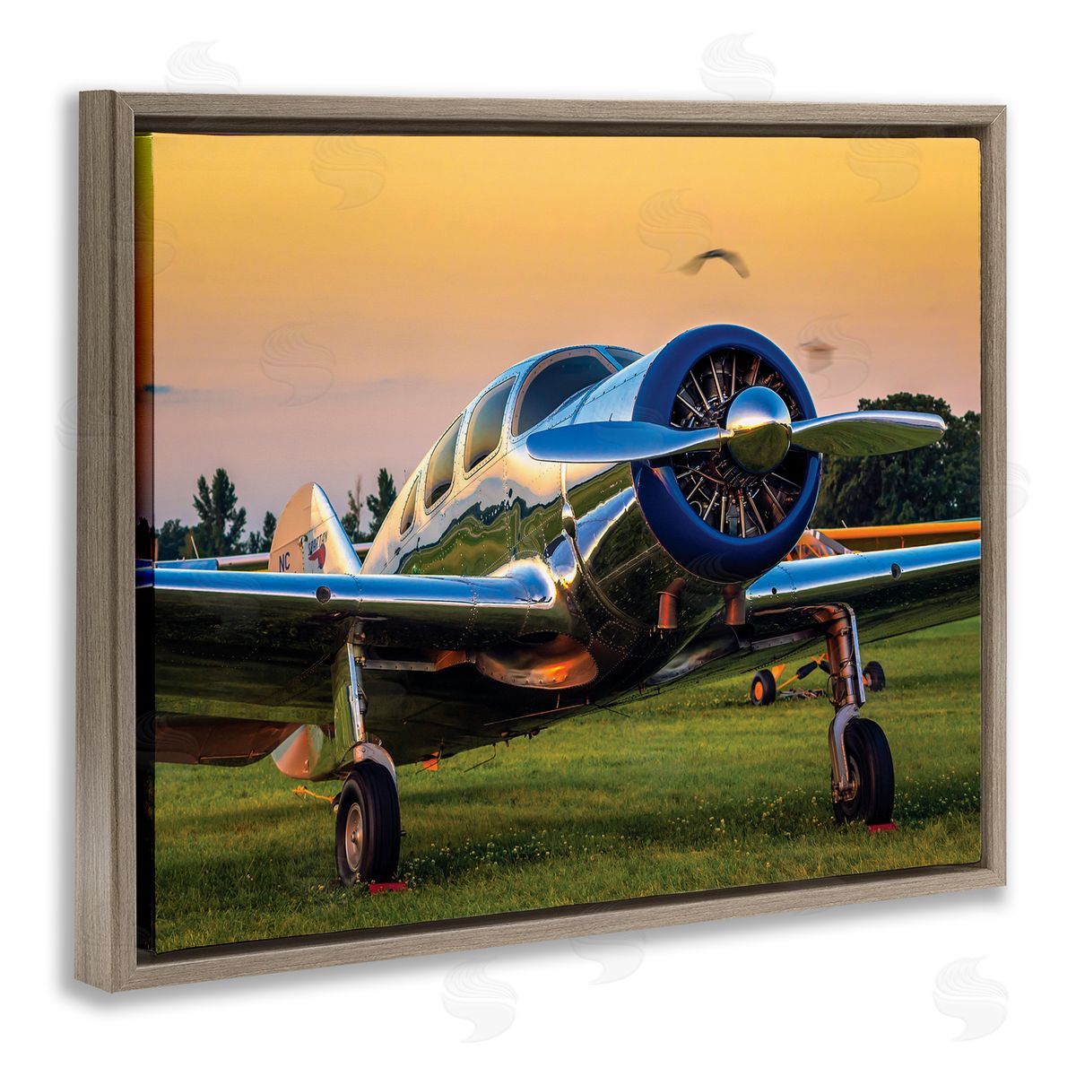 John Slemp Jet Plane in Meadow Summer Sunset Reflection