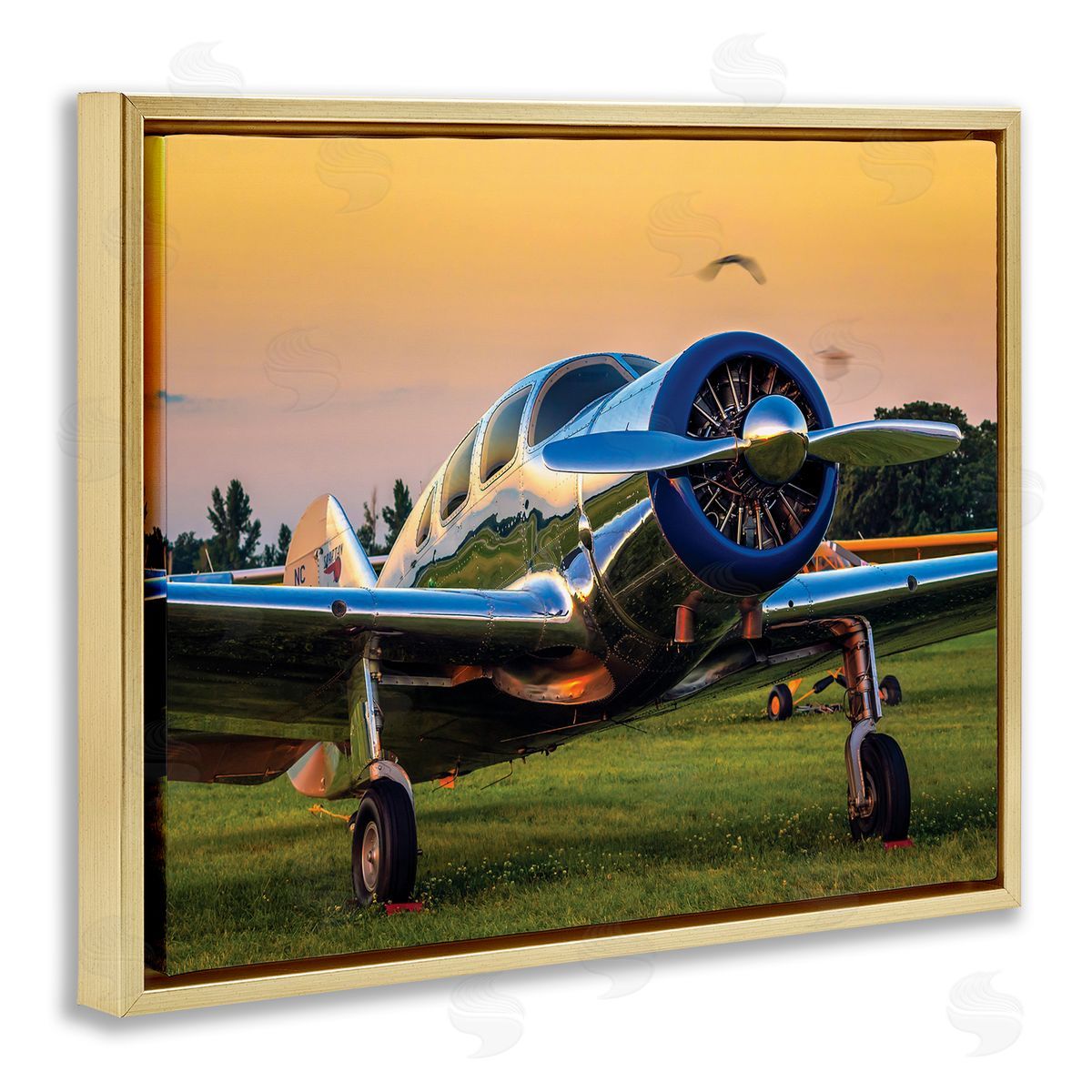 John Slemp Jet Plane in Meadow Summer Sunset Reflection