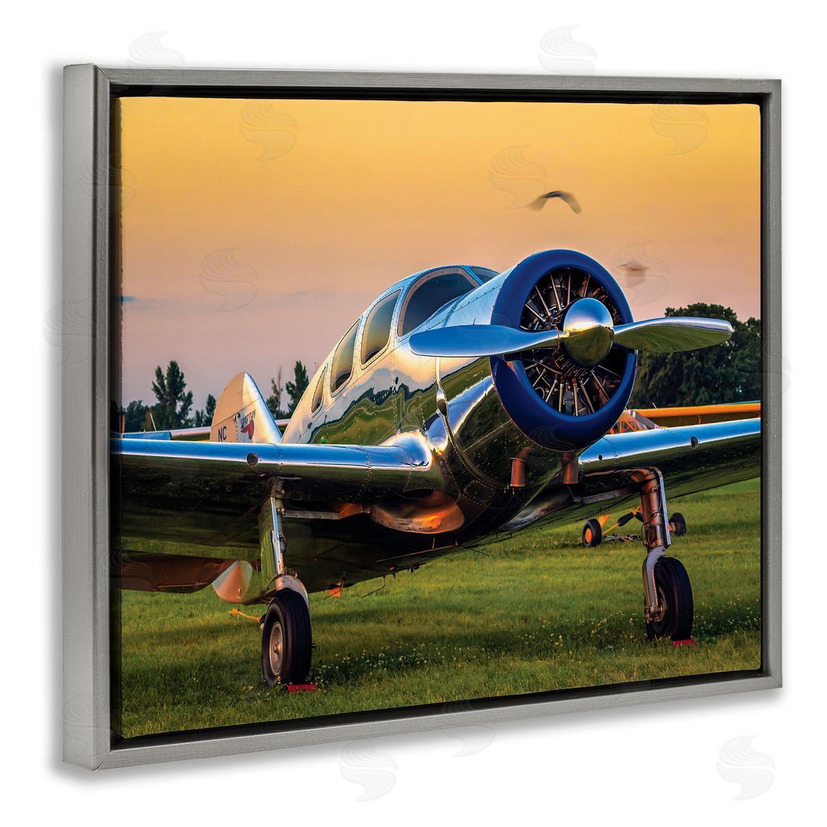 John Slemp Jet Plane in Meadow Summer Sunset Reflection