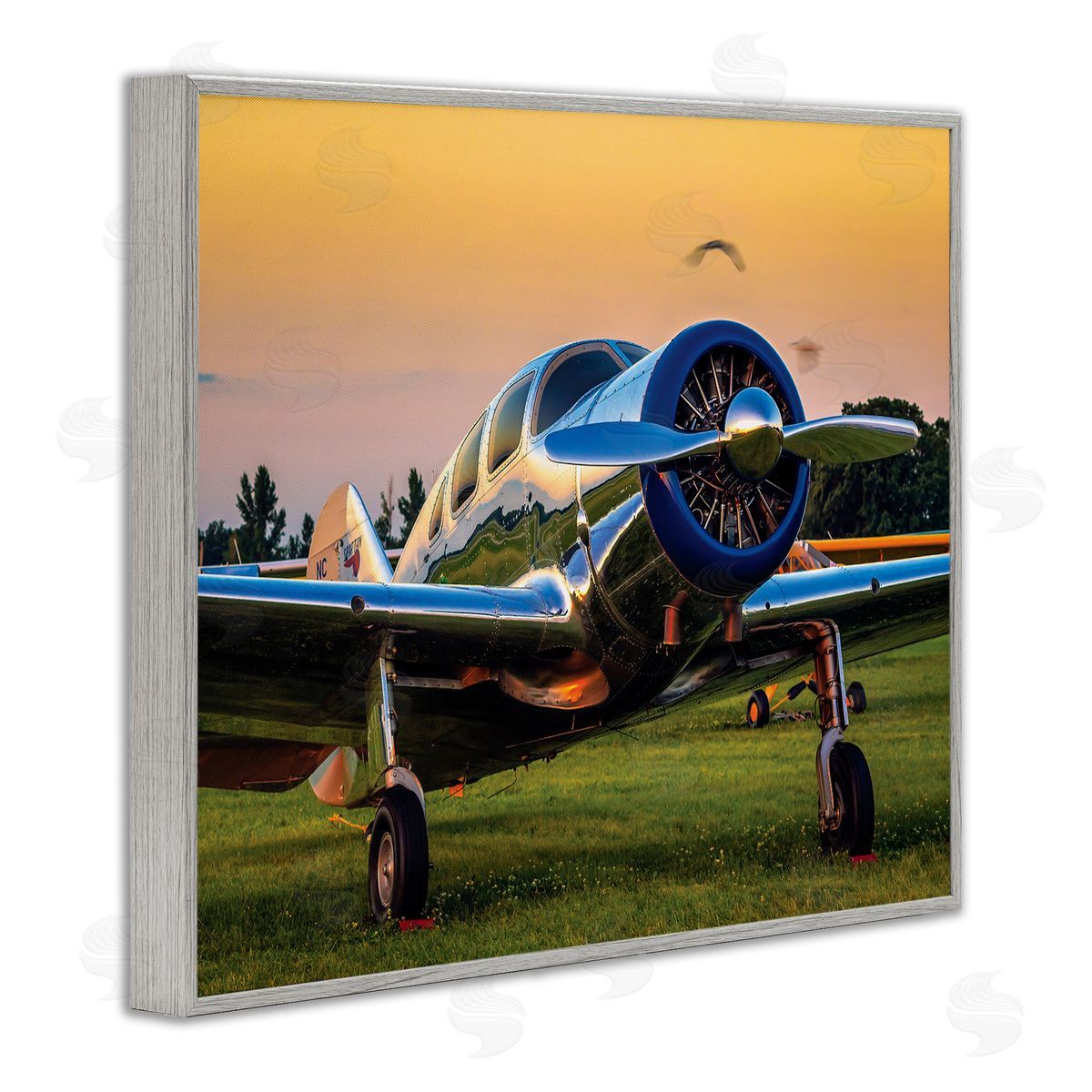 John Slemp Jet Plane in Meadow Summer Sunset Reflection