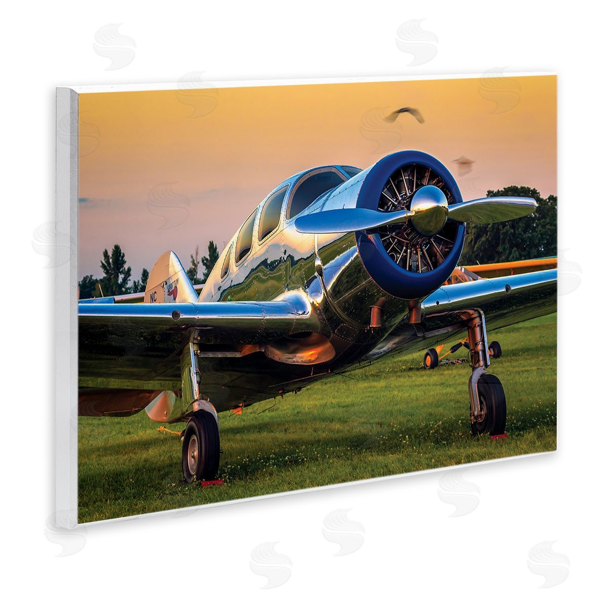 John Slemp Jet Plane in Meadow Summer Sunset Reflection