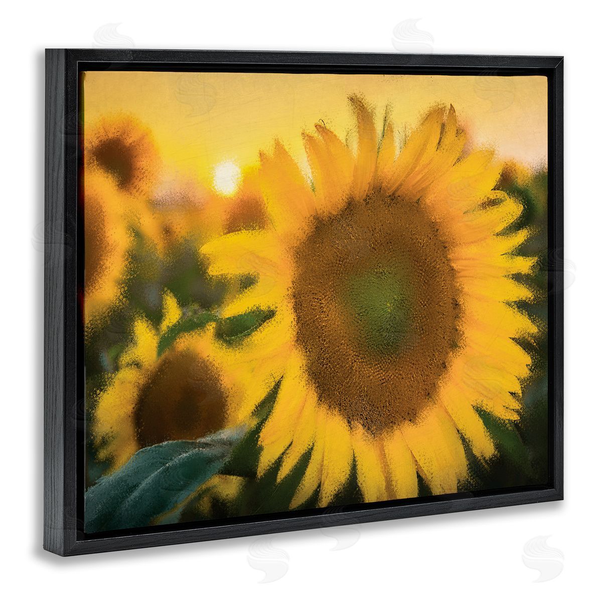 Kim Allen Sunflower Field Sunrise Realistic Soft Edges