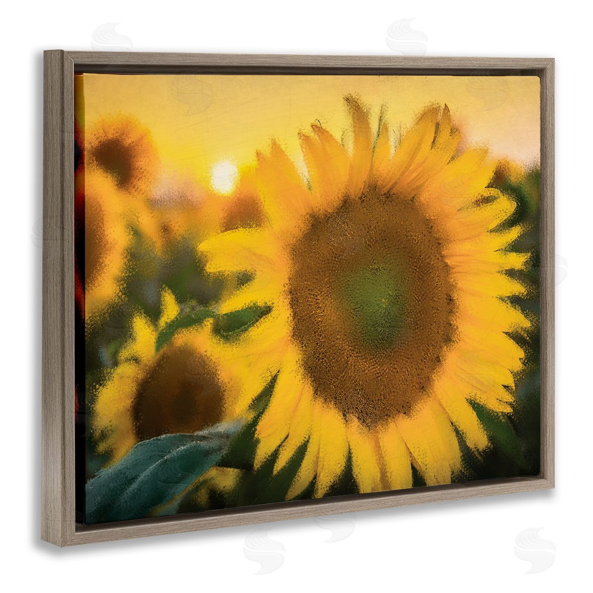 Kim Allen Sunflower Field Sunrise Realistic Soft Edges