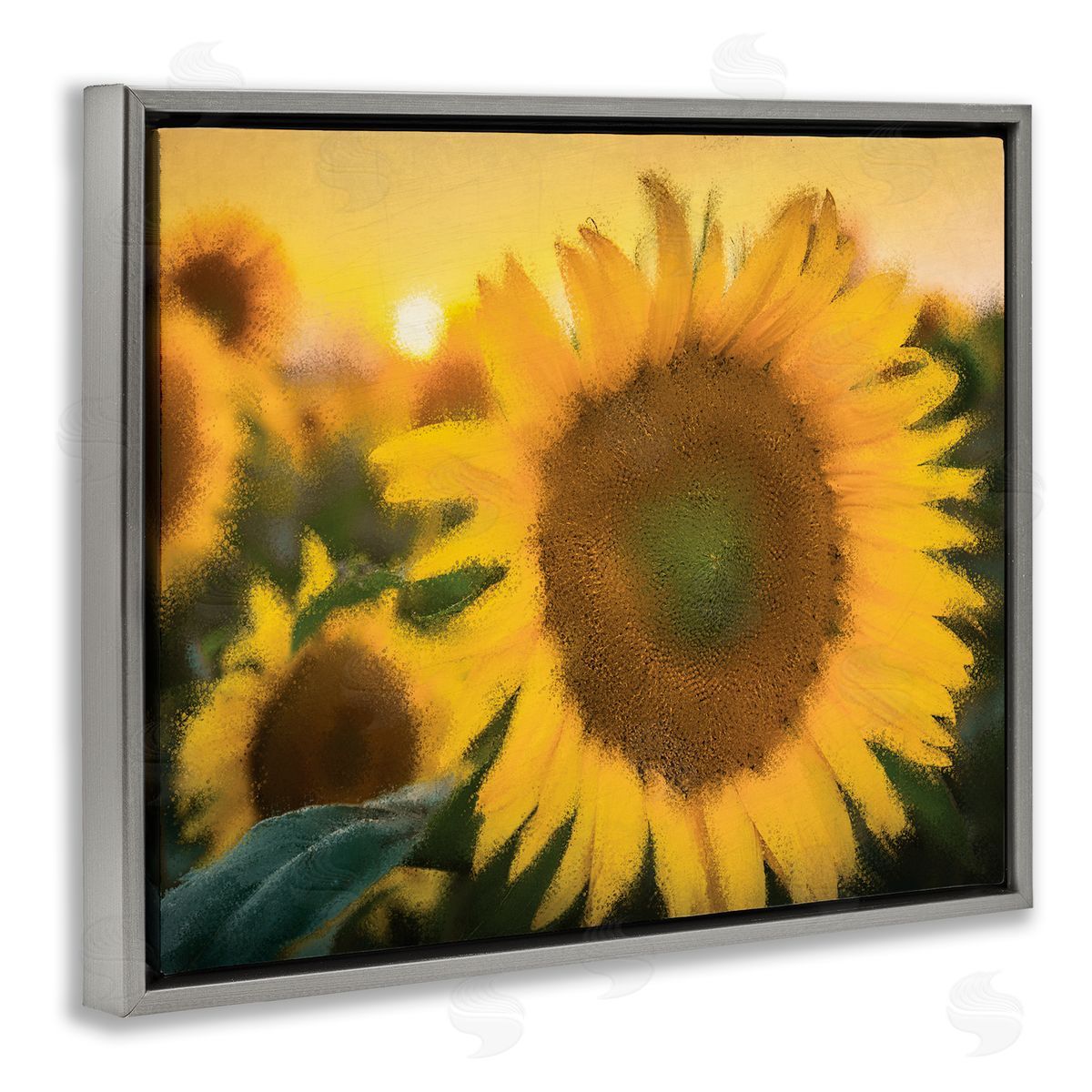 Kim Allen Sunflower Field Sunrise Realistic Soft Edges
