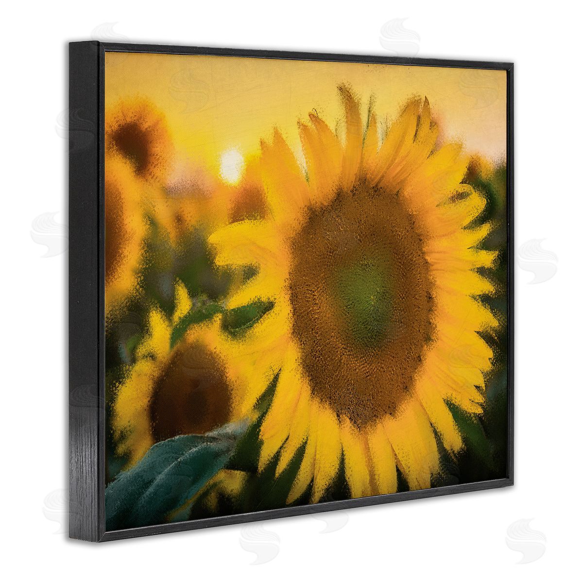 Kim Allen Sunflower Field Sunrise Realistic Soft Edges