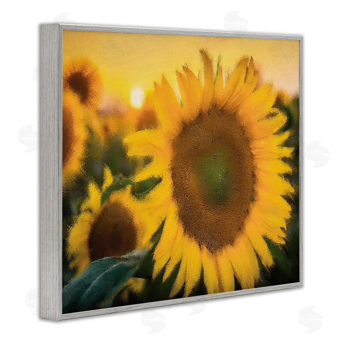 Kim Allen Sunflower Field Sunrise Realistic Soft Edges