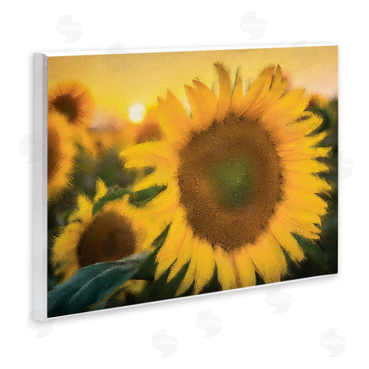 Kim Allen Sunflower Field Sunrise Realistic Soft Edges