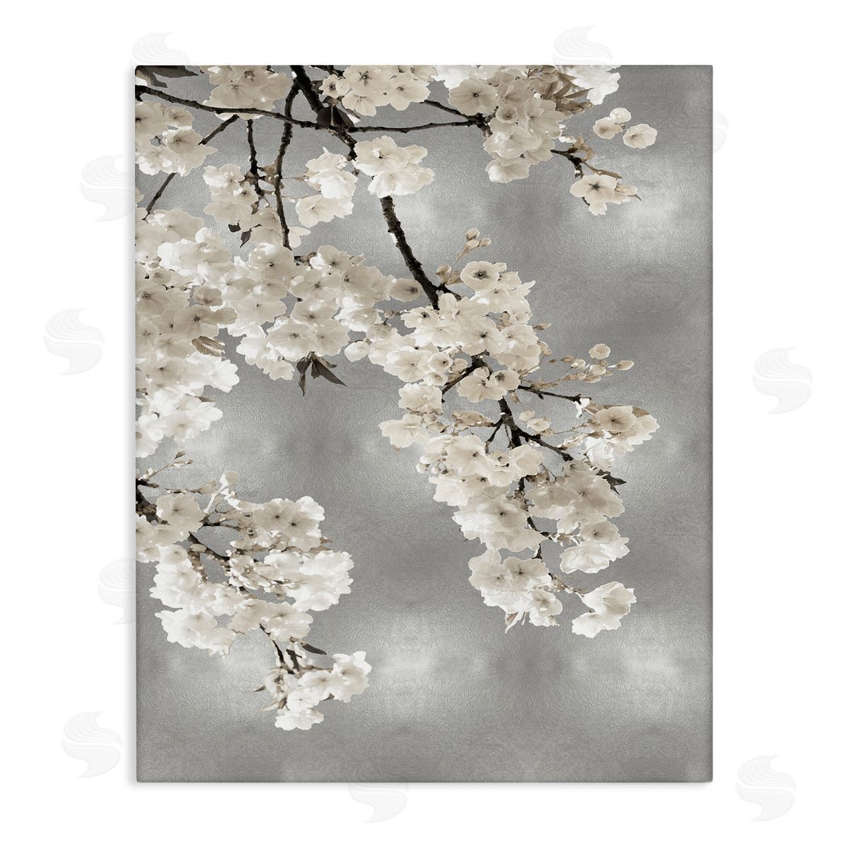Kate Bennett Spring Blossoms White Flowers Tree Branch