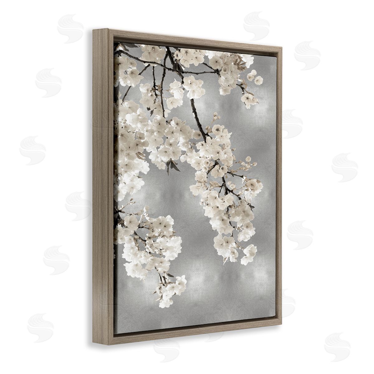 Kate Bennett Spring Blossoms White Flowers Tree Branch