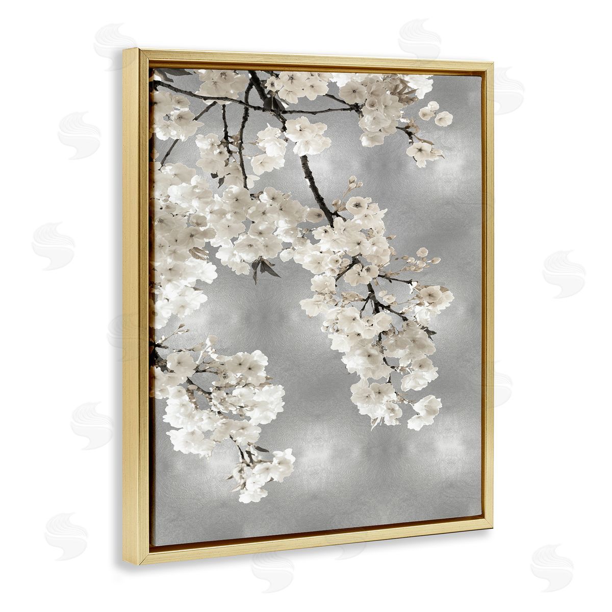 Kate Bennett Spring Blossoms White Flowers Tree Branch