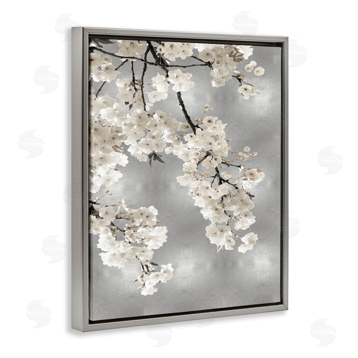 Kate Bennett Spring Blossoms White Flowers Tree Branch