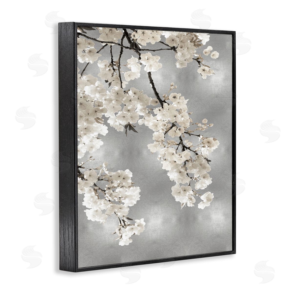 Kate Bennett Spring Blossoms White Flowers Tree Branch