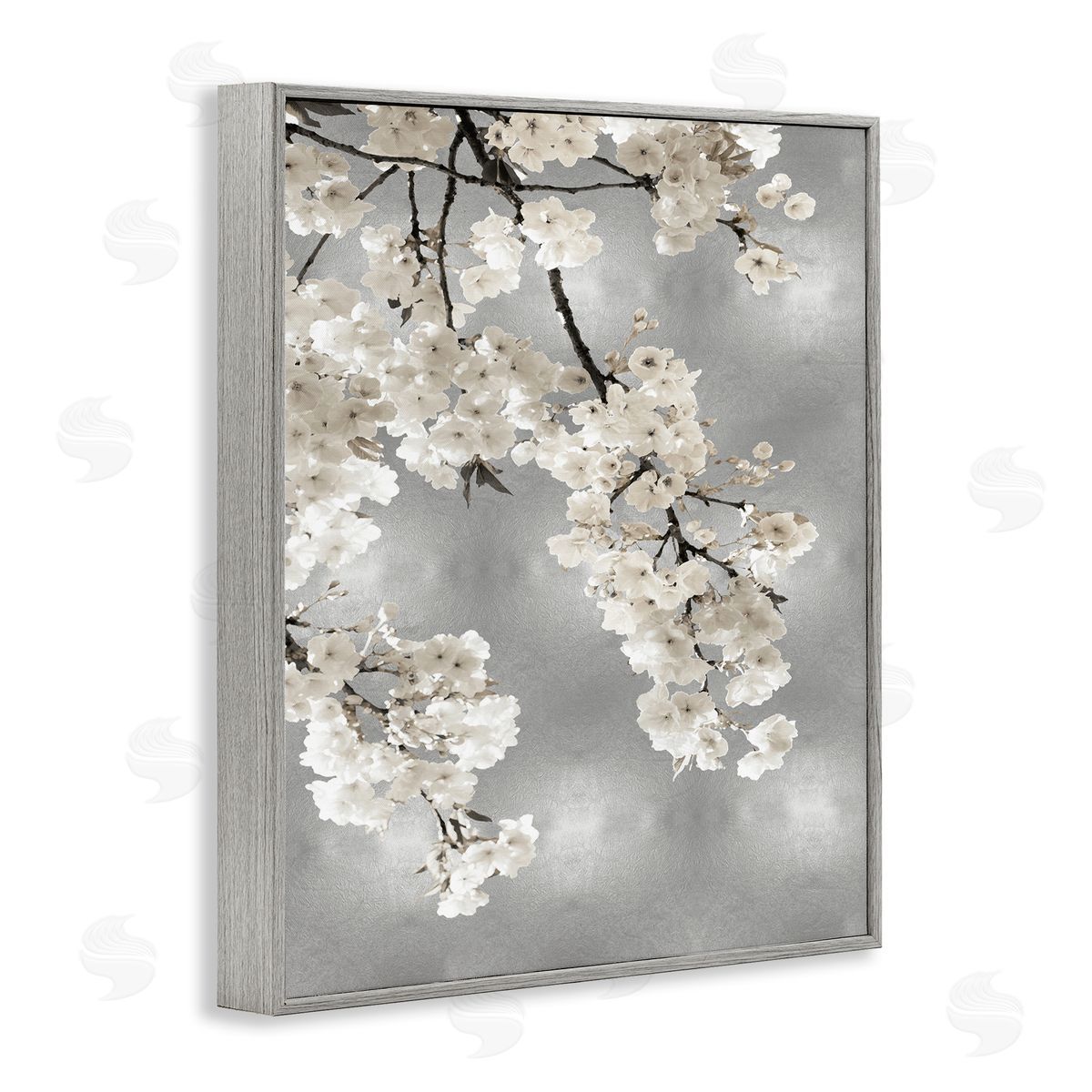 Kate Bennett Spring Blossoms White Flowers Tree Branch